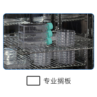 专业搁板