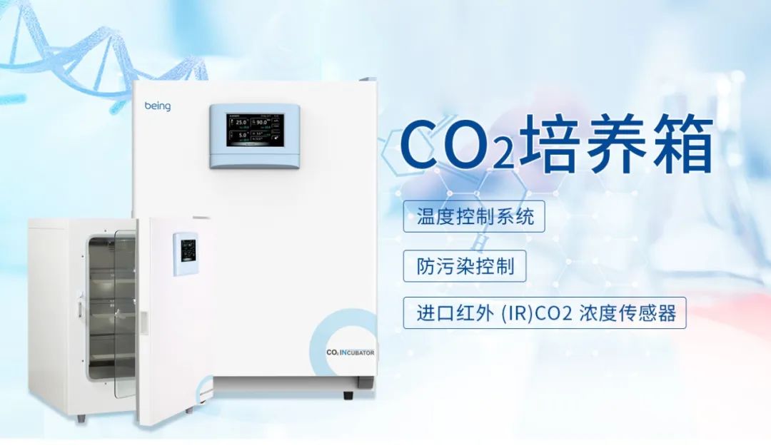 B体育CO2培养箱 B体育CO2培养箱