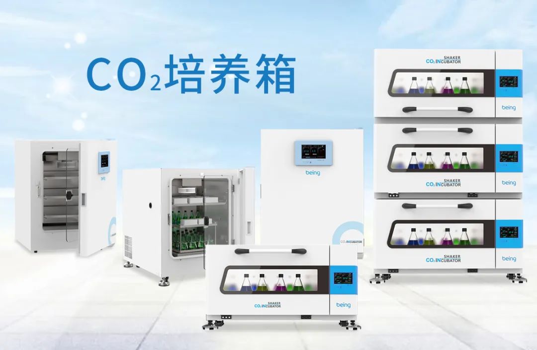 B体育CO2培养箱 B体育CO2培养箱