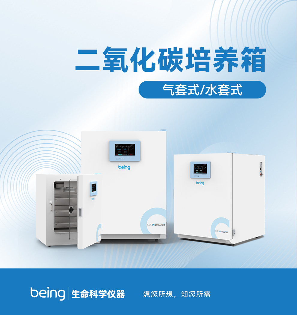 B体育CO2培养箱 B体育CO2培养箱