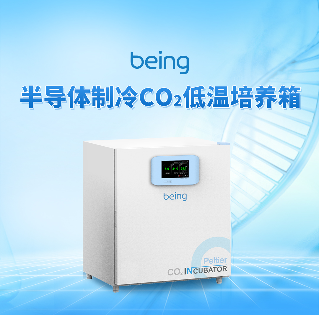 B体育半导体制冷CO2低温培养箱 B体育半导体制冷CO2低温培养箱
